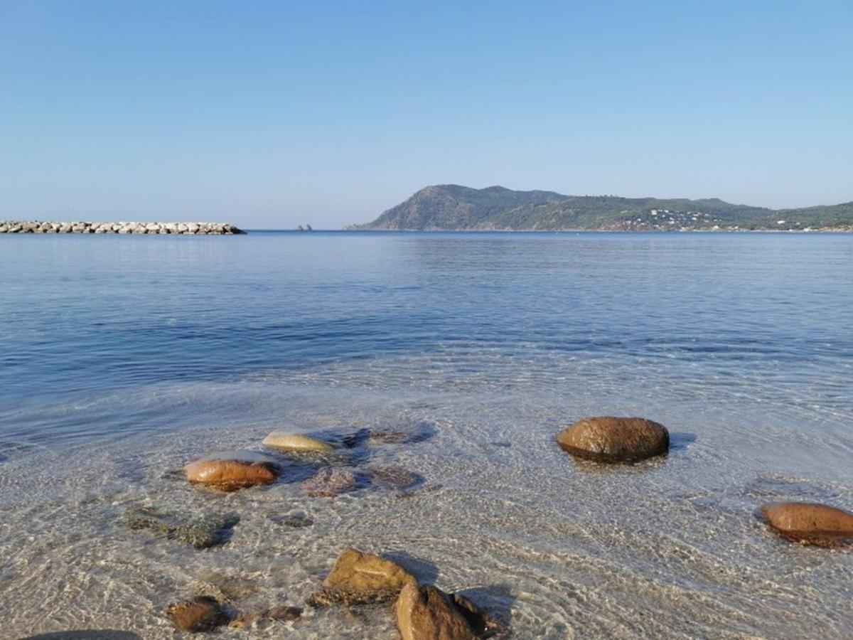 Apartmán Havre De Paix A 2 Pas De L'Eau, Autonomie Saint-Mandrier-sur-Mer Exteriér fotografie